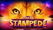 Africans tampede