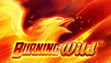 Burning wild 