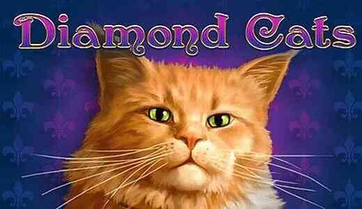 Diamond Cats