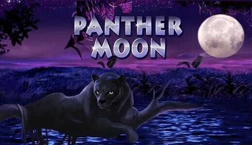 Panther Moon